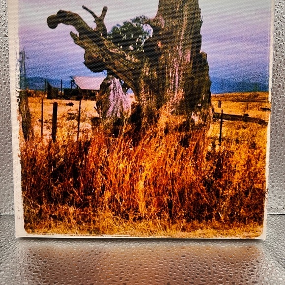 These canvas prints are so special! 8 x 8 and size great for gifting! - Picture 13 of 15